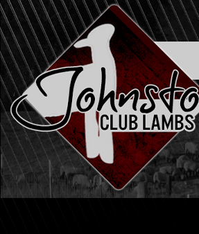 Johnston Club Lambs