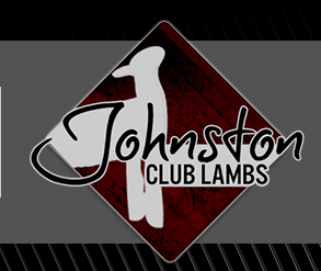 Johnston Club Lambs