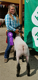 Winners