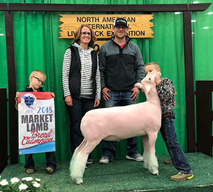 Johnston Club Lambs Winners