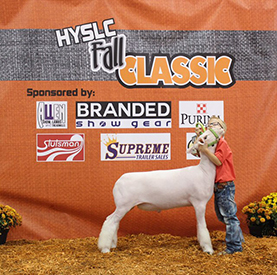 Jonston CLub Lambs Winners