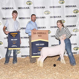 Johnston Winners