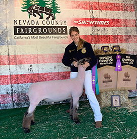 Johnston Club Lambs Winners