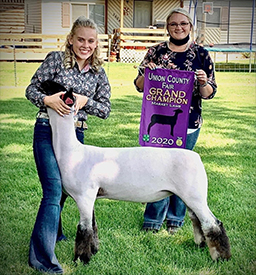Johnston Winners