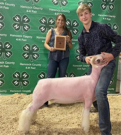 Johnston Winners