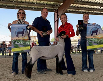 Johnston Winners